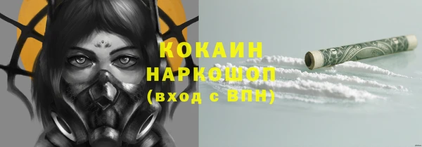 стаф Россошь