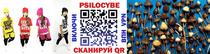 наркота Сосногорск Псилоцибиновые грибы мухоморы